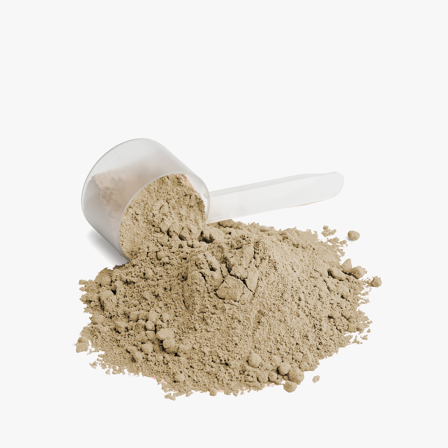 Plant Power Protein (Vanilla)