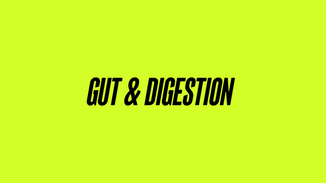 Gut & Digestion