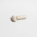Close-up of a Thrive Hive Alpha Male capsule, a herbal blend for men's health.
