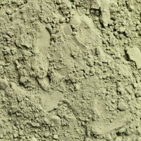 A scoop of vibrant green powder from Thrive Hive's plant-based superfood blend.