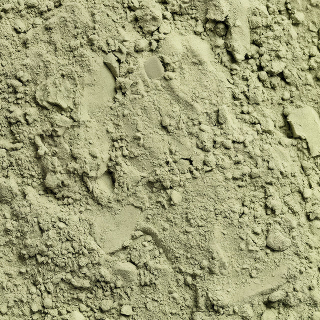 A scoop of vibrant green powder from Thrive Hive's plant-based superfood blend.